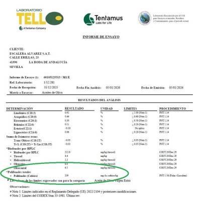 Ekologiczna Oliwa z oliwek extra virgin w puszce 5L - 100% Hojiblanca-wczesny zbiór
