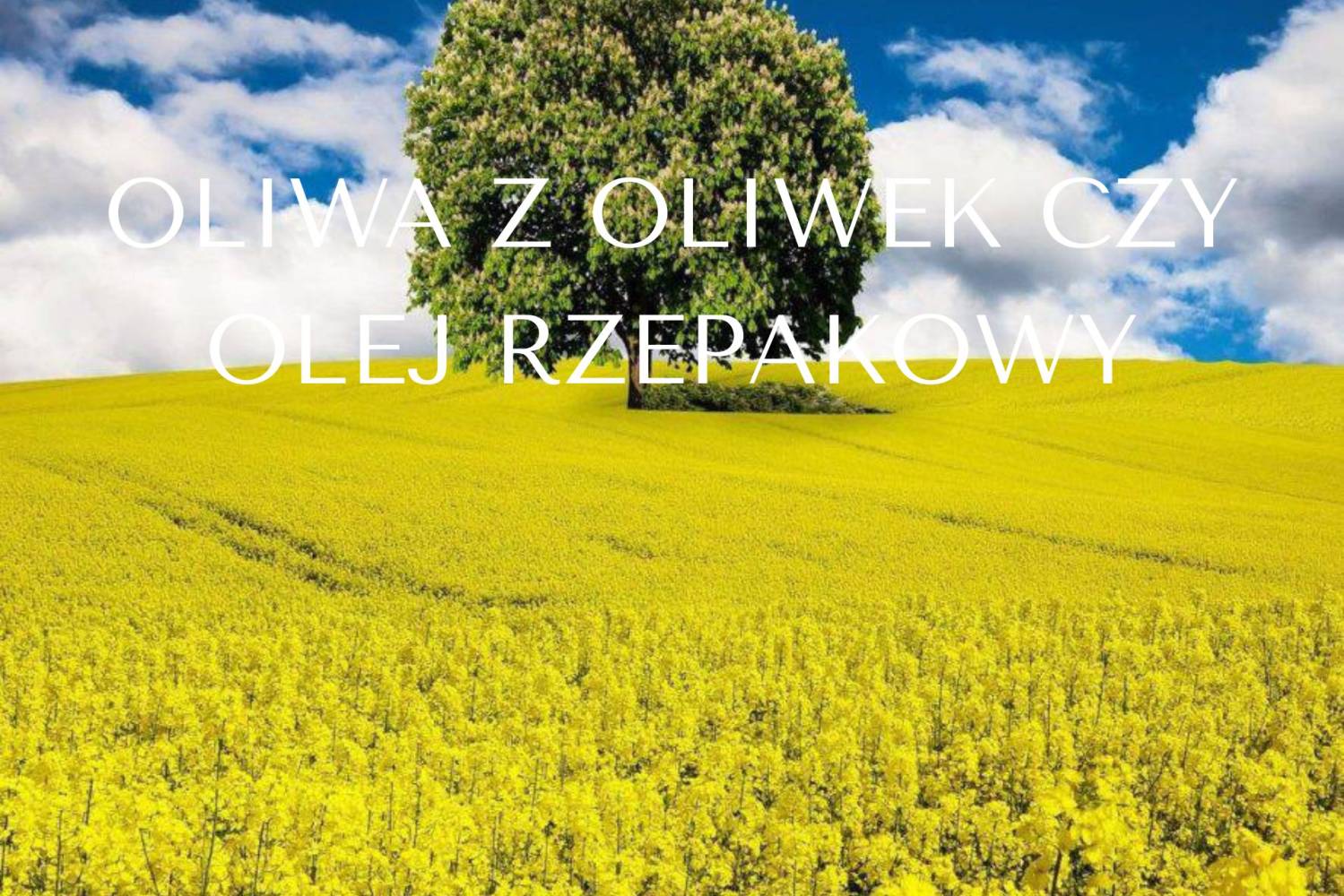 Oliwa z oliwek czy olej rzepakowy?