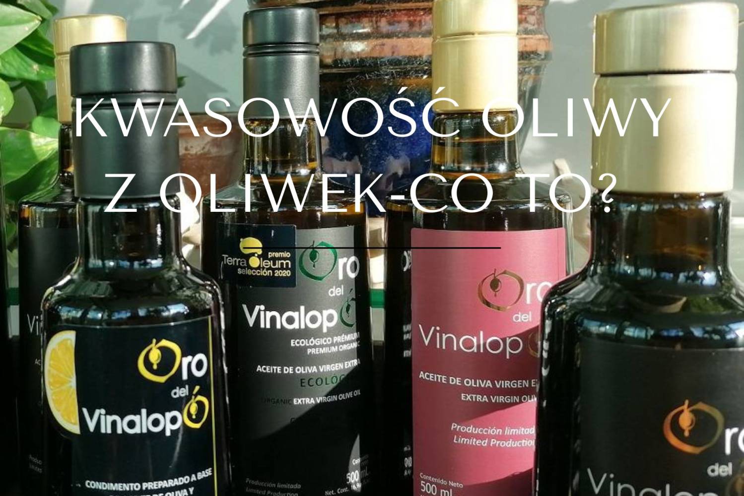Kwasowość oliwy z oliwek-co to znaczy?