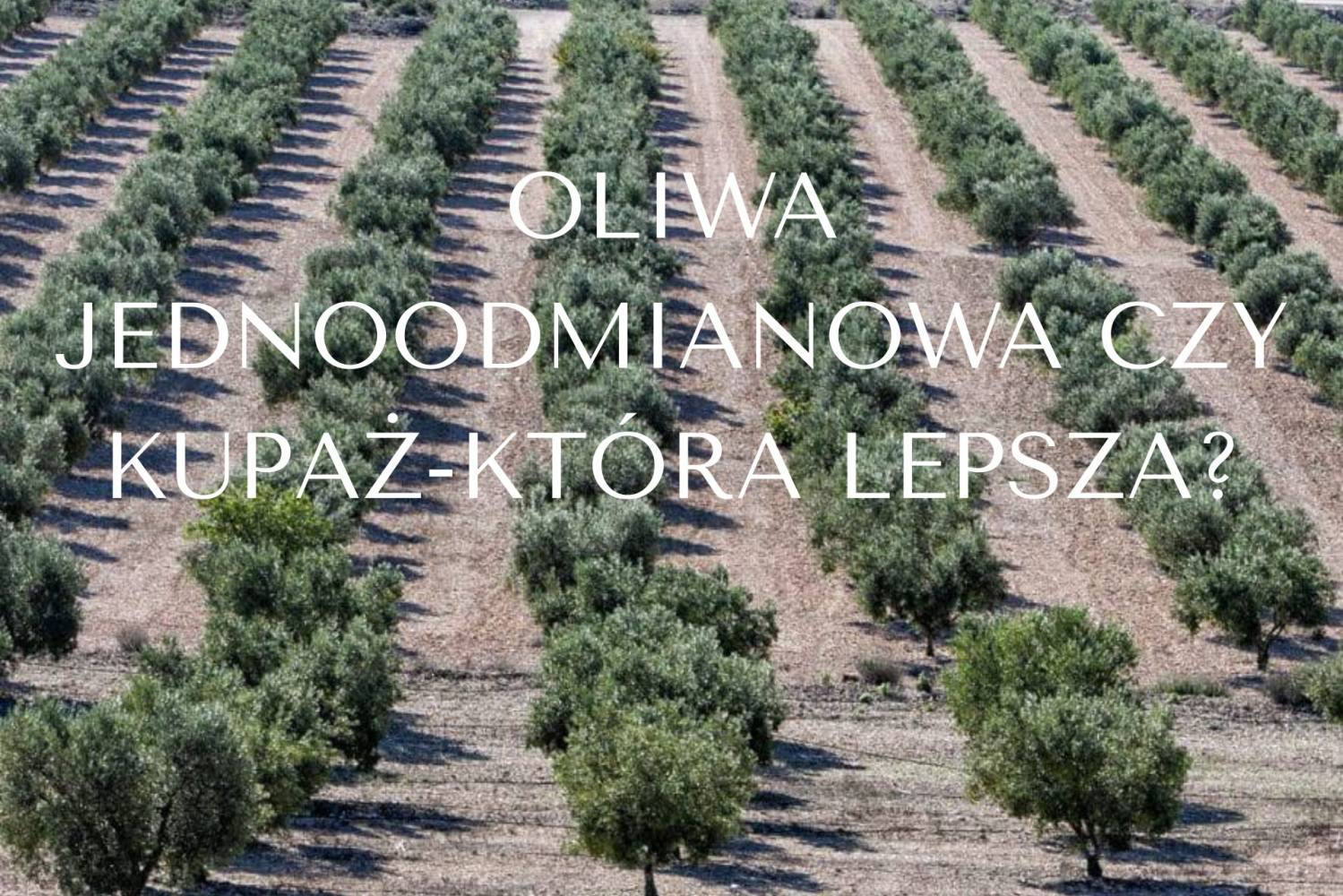 Oliwy jednoodmianowe czy kupażowane, kt&oacute;re są  lepsze?