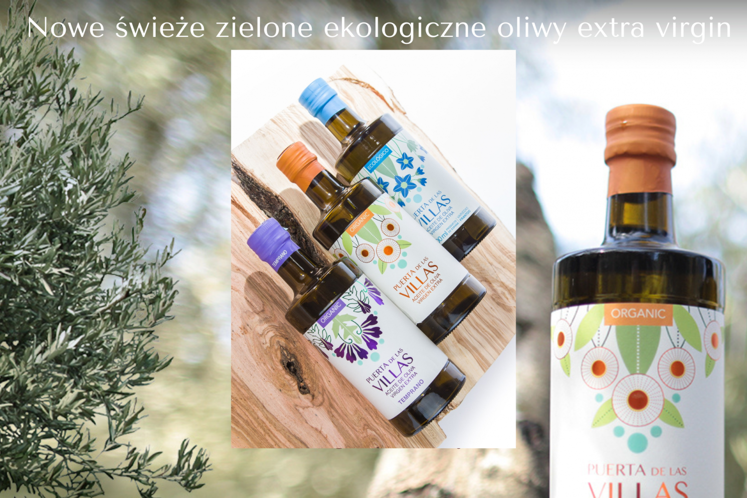 Nowe najlepsze ekologiczne oliwy z wczesnego zbioru Puerta de las Villas 