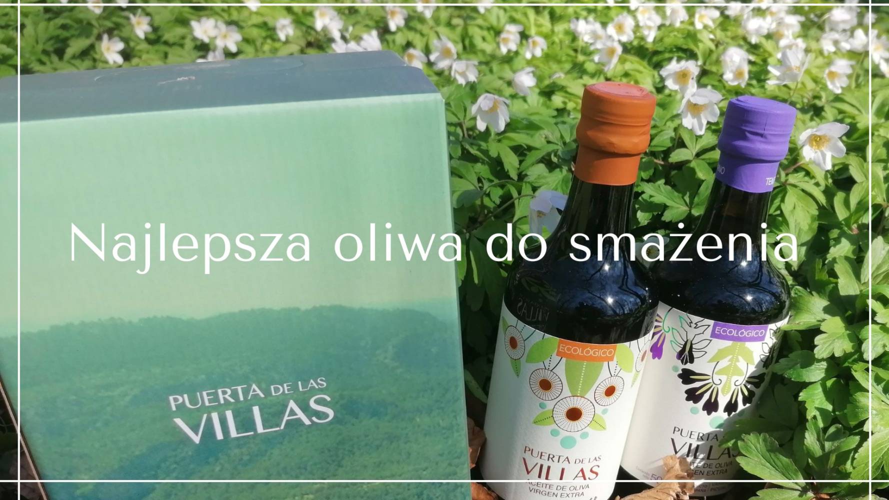 Czy można smażyć na oliwie?