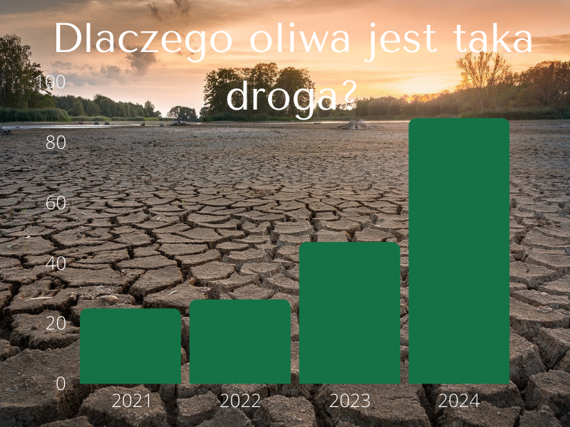 Dlaczego oliwa z oliwek jest taka droga?