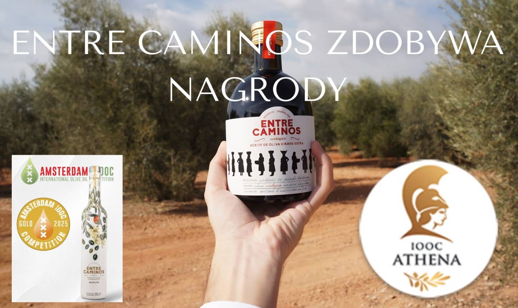 Sukces Entre Caminos na ATHENA IOOC &ndash; a to dopiero początek nagr&oacute;d